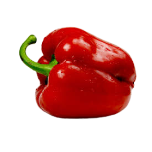 Paprika rood